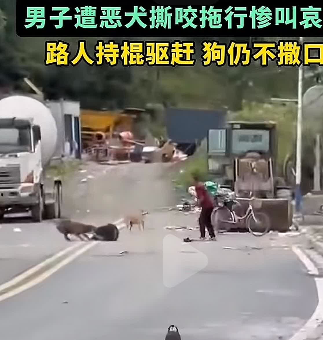 刷到一个男子被狗咬的视频，画面惨不忍睹，令人不忍直视，所幸有一位路人仗义相助，不