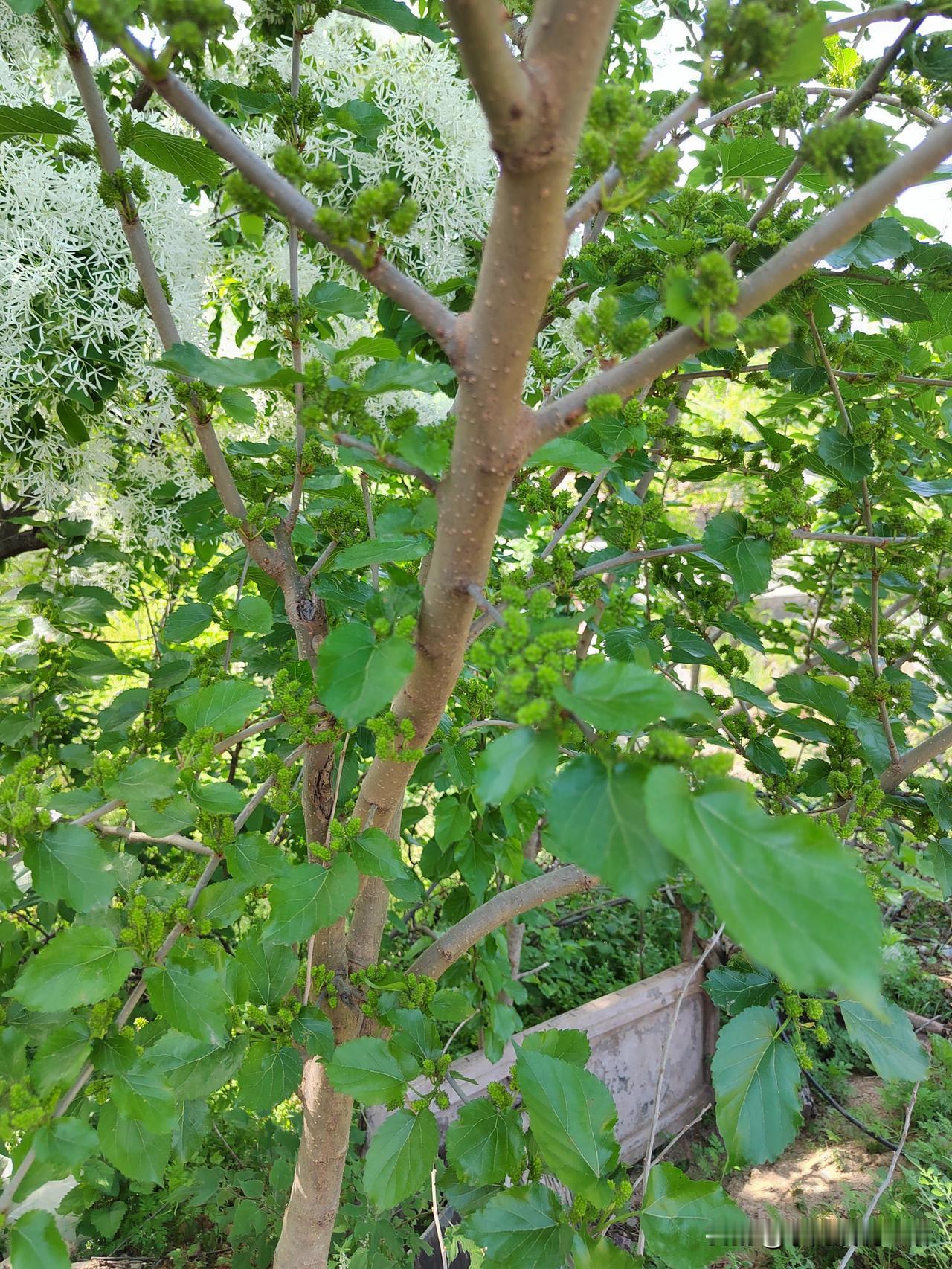 退休了,退休金不够用咋办?我的退休金是1090元，根本不够用，但我不上班，全躺