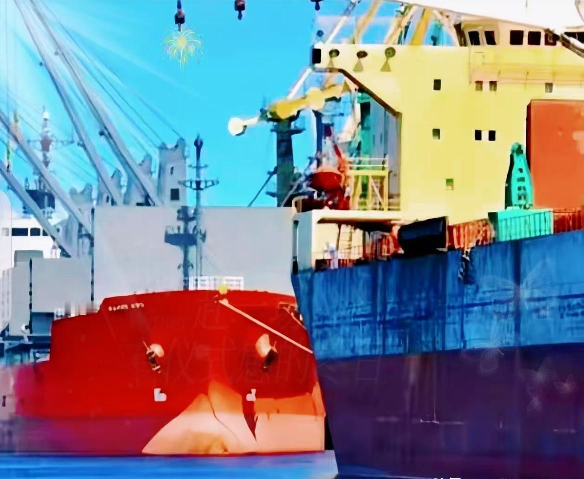 一艘满载6.9万吨巴西大豆运到家门口，被我们原路退回！巴西农业部说了，中