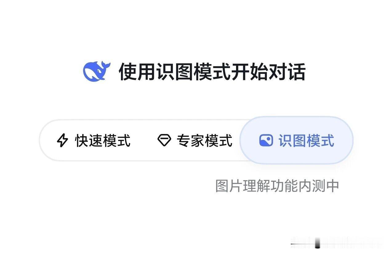 千亿估值DeepSeek上线识图模式，连自家老板都认不出来😂。新上线的识图功能