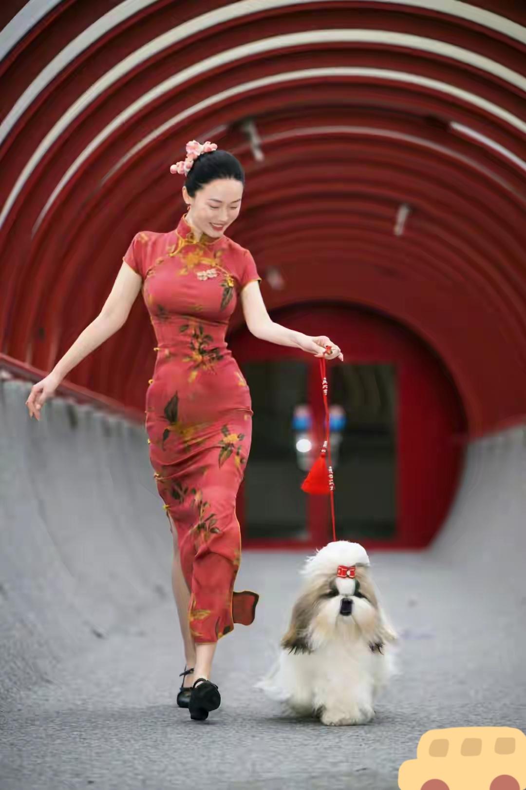 别人都在夸霍思燕的狗狗获得了国际性的大奖。我要夸一夸霍思燕的身材。霍思燕今年