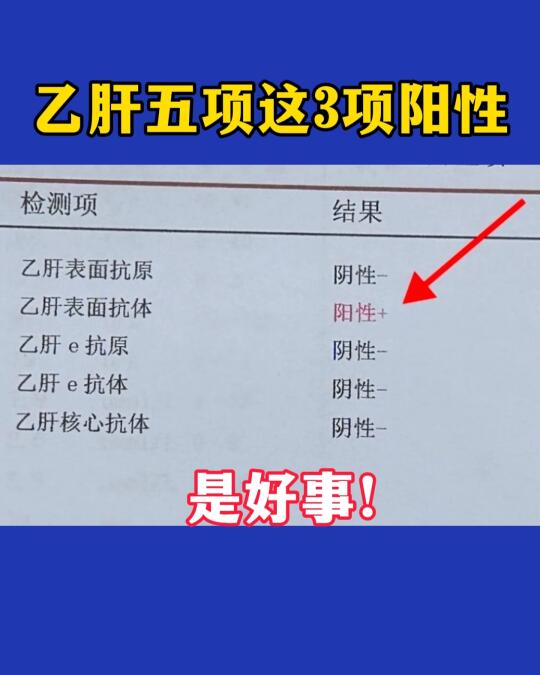 乙肝这几项阳性不用再担心了！上午接诊的一位乙肝小伙，拿着检查单忧心忡忡...