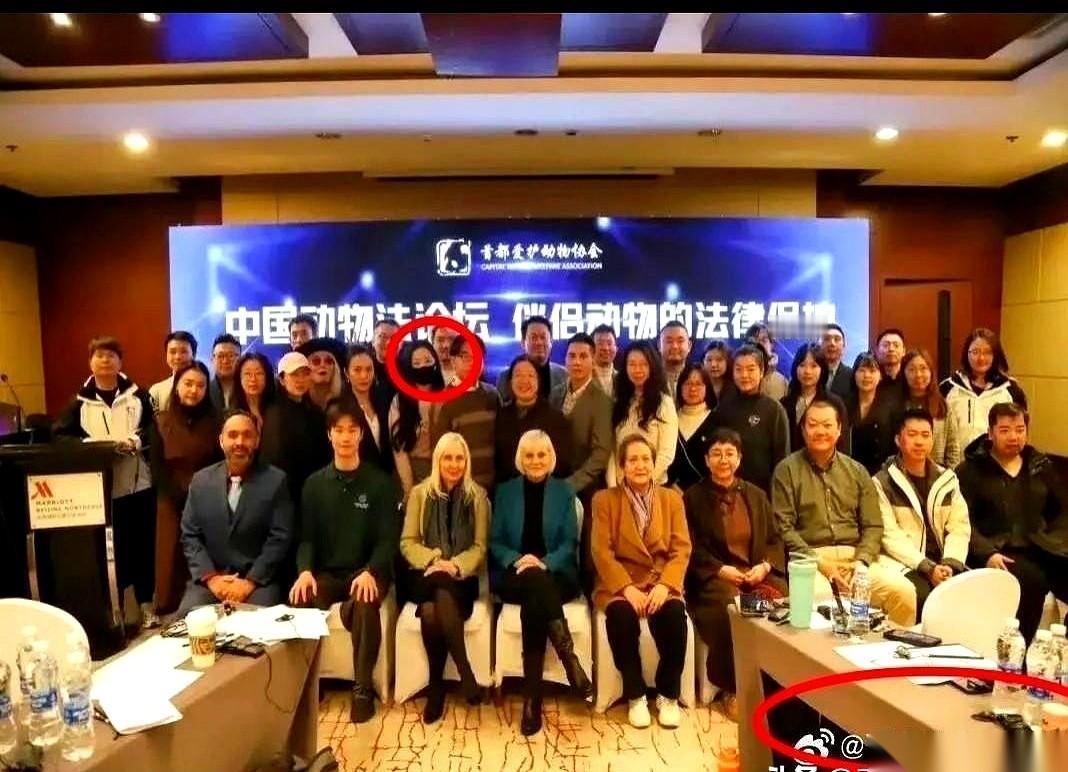 “美国来的动物保护组织，把钱都给了谁？”这个疑问，像刀子一样扎进无数人的心头。