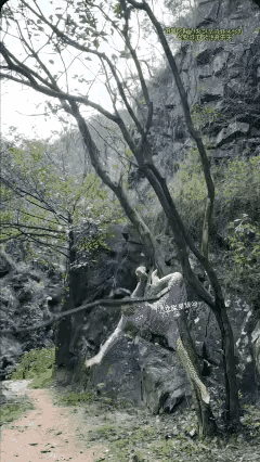 美女美女美如云荡起秋千万人迷歌声一哼百鸟和回眸一笑天地晕丫枝一断凤折膀