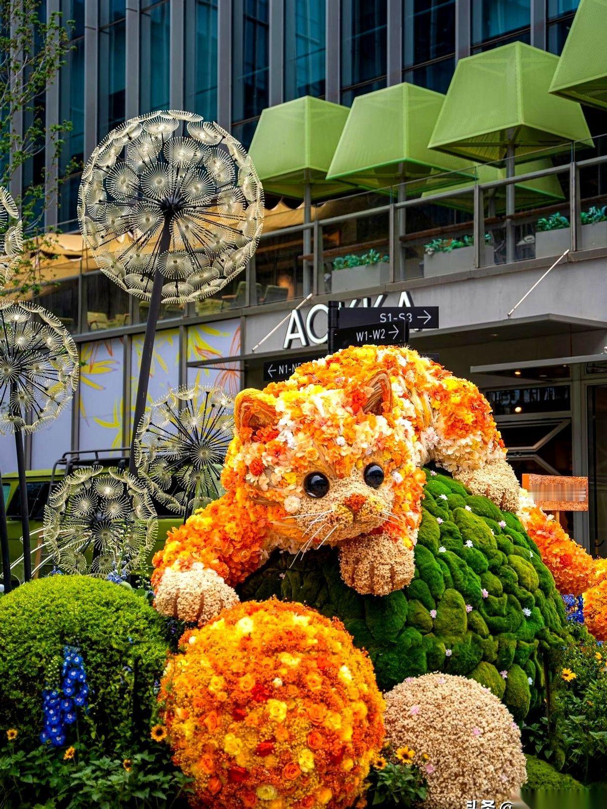 别往郊区扎堆了。接下来的23天，上海的市中心直接“长”出了花海。从4月18日到5