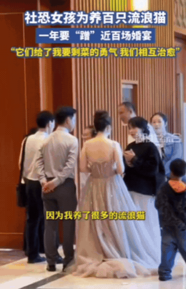 云南一女孩为了给猫找食物，竟然去“蹭”别人的婚宴，1年下来“蹭”了100场婚宴，