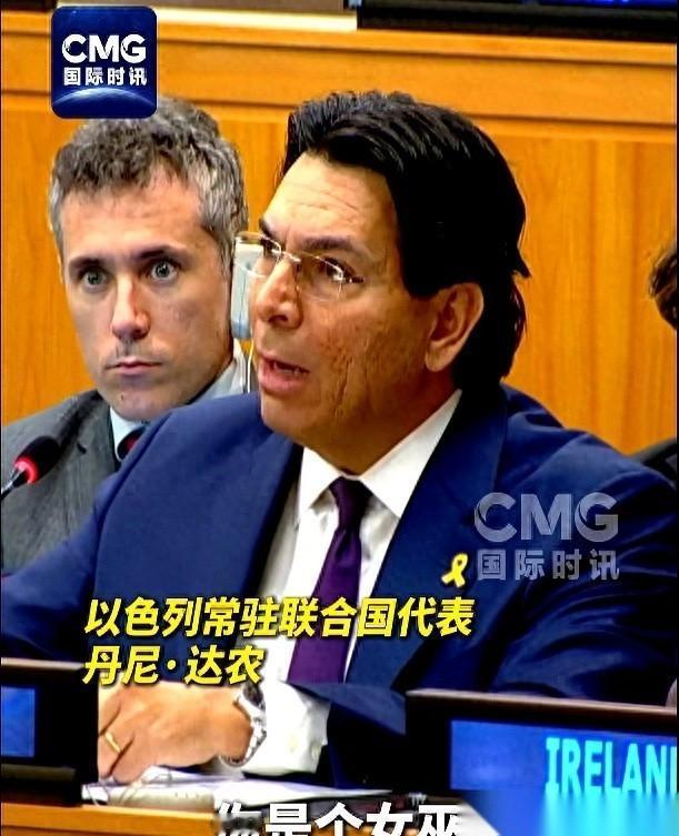刚刚！​在联合国会议上发生的一幕，给我看傻了。​以代表骂专家“女巫”，反被