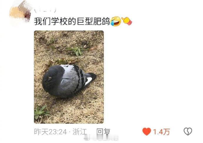 学校里的离谱装饰