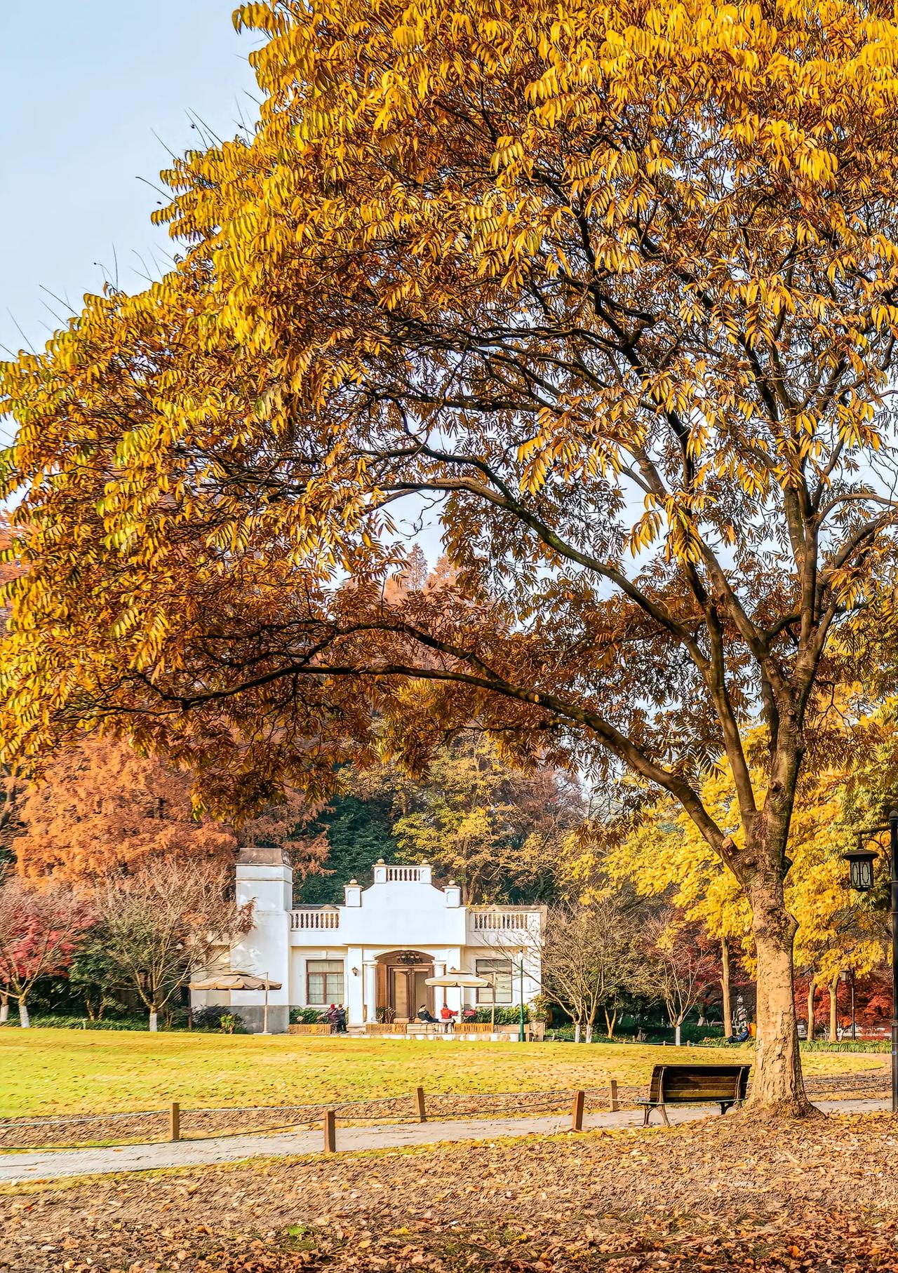 昨天有玄外的家长咨询，在学校排名多少名可以考上南师附中？我给的建议是关注动态