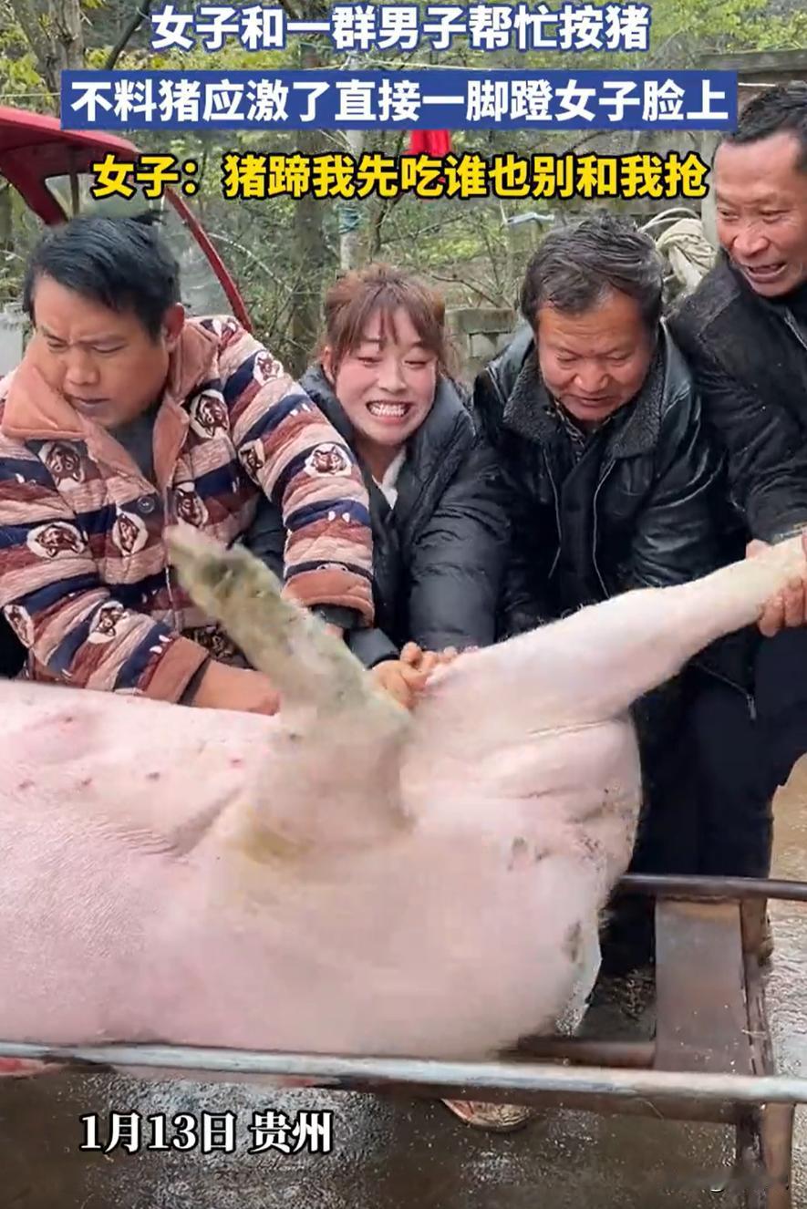 笑死了！贵州安顺，一女子回老家赶上杀年猪，见人手不够，就主动上前，没想到，由于没