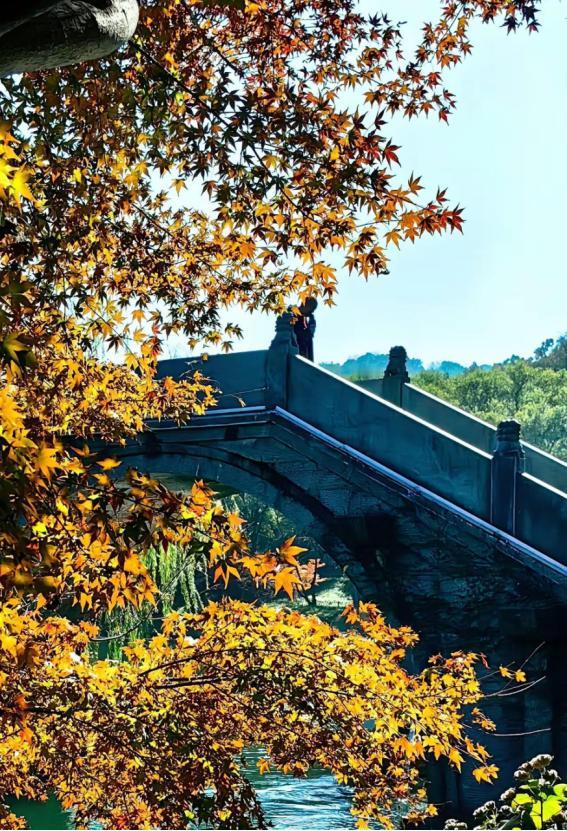 一位养生专家说:跑步真的很要命。养生专家突然语出惊人称跑步很要命，说跑步是耗