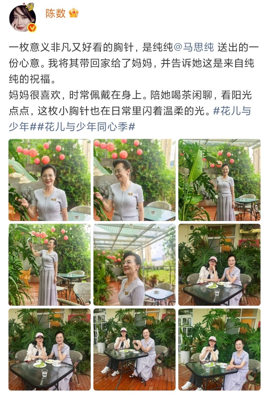 娱乐陈数晒马思纯送的胸针陈数晒马思纯送的胸针，太用心啦！！陈数和马思纯