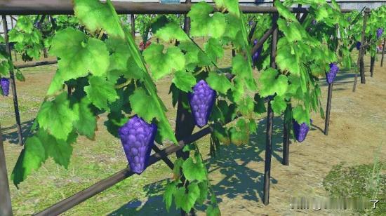 提到《最终幻想14》的“低画质多边形葡萄”,相信很多玩家都有印象。这些搞笑的模型