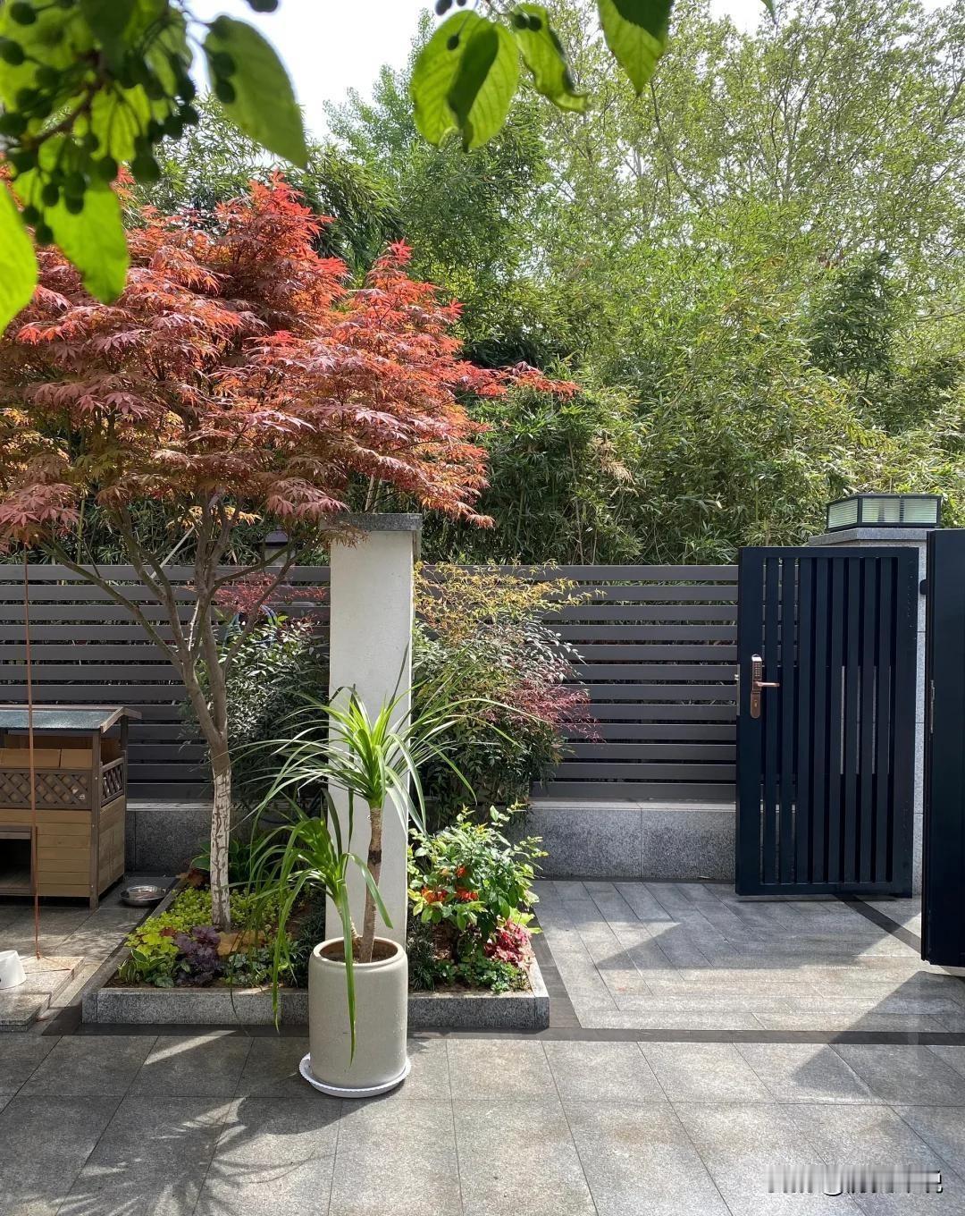 家庭的顶级风水，从来不是靠罗盘算出来的编辑：纱娜作者：纱娜村里老宅拆掉