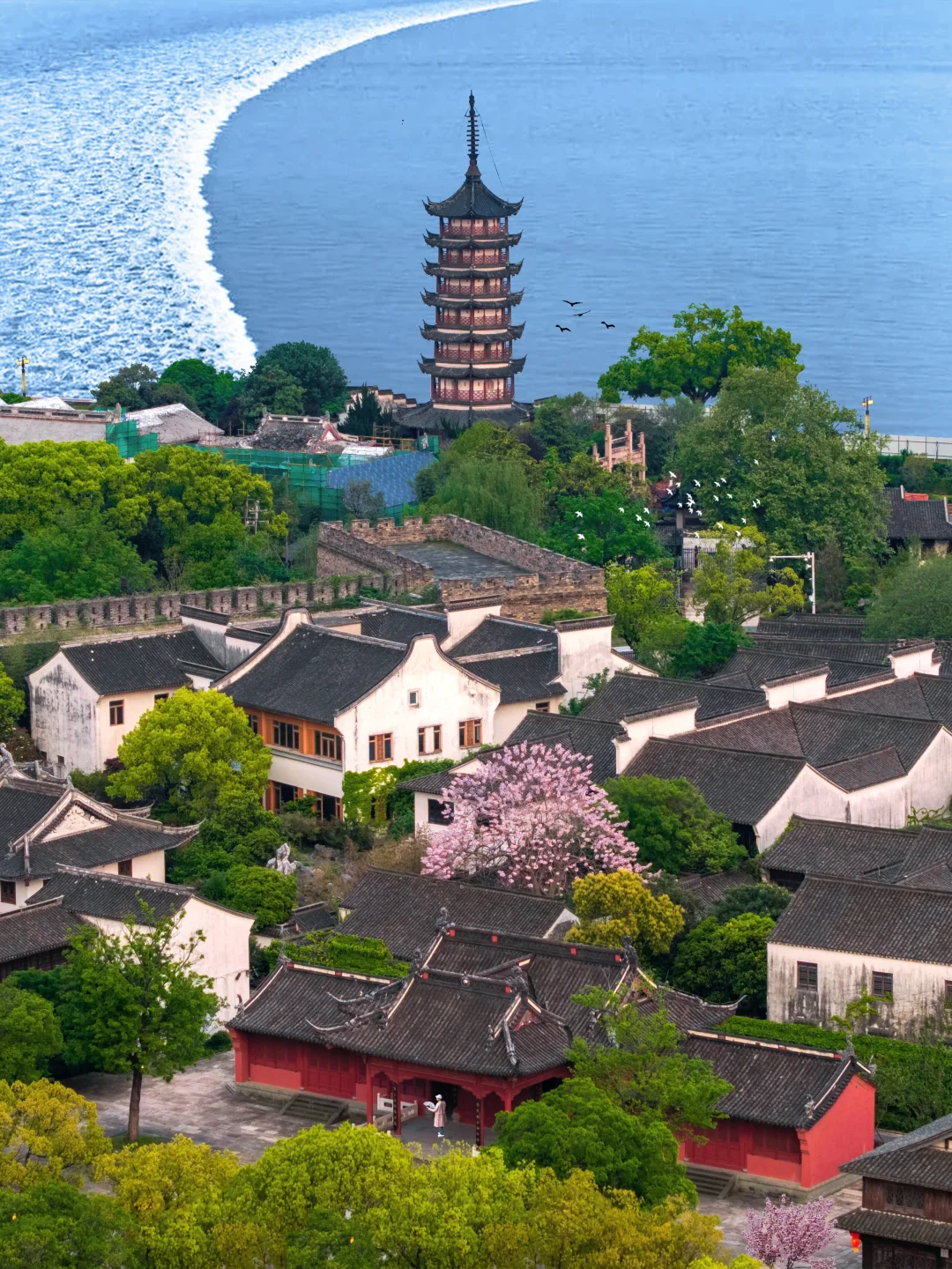 反向旅游‼️这才是浙江被严重低估的观潮古城