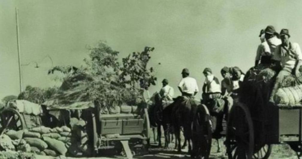 1938年11月，宋时轮得知第五大队200多人，被日军残忍杀害，当即率兵伏击日军