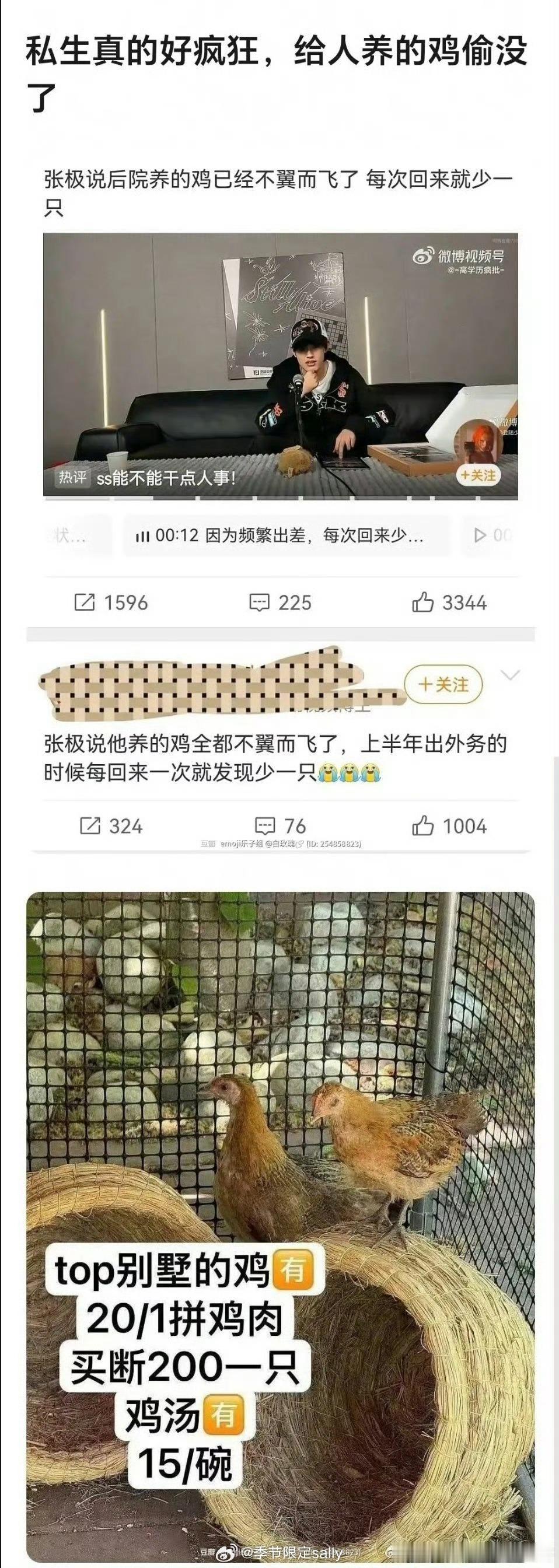 楼私生偷张极养的鸡卖200一只好小众的文字啊