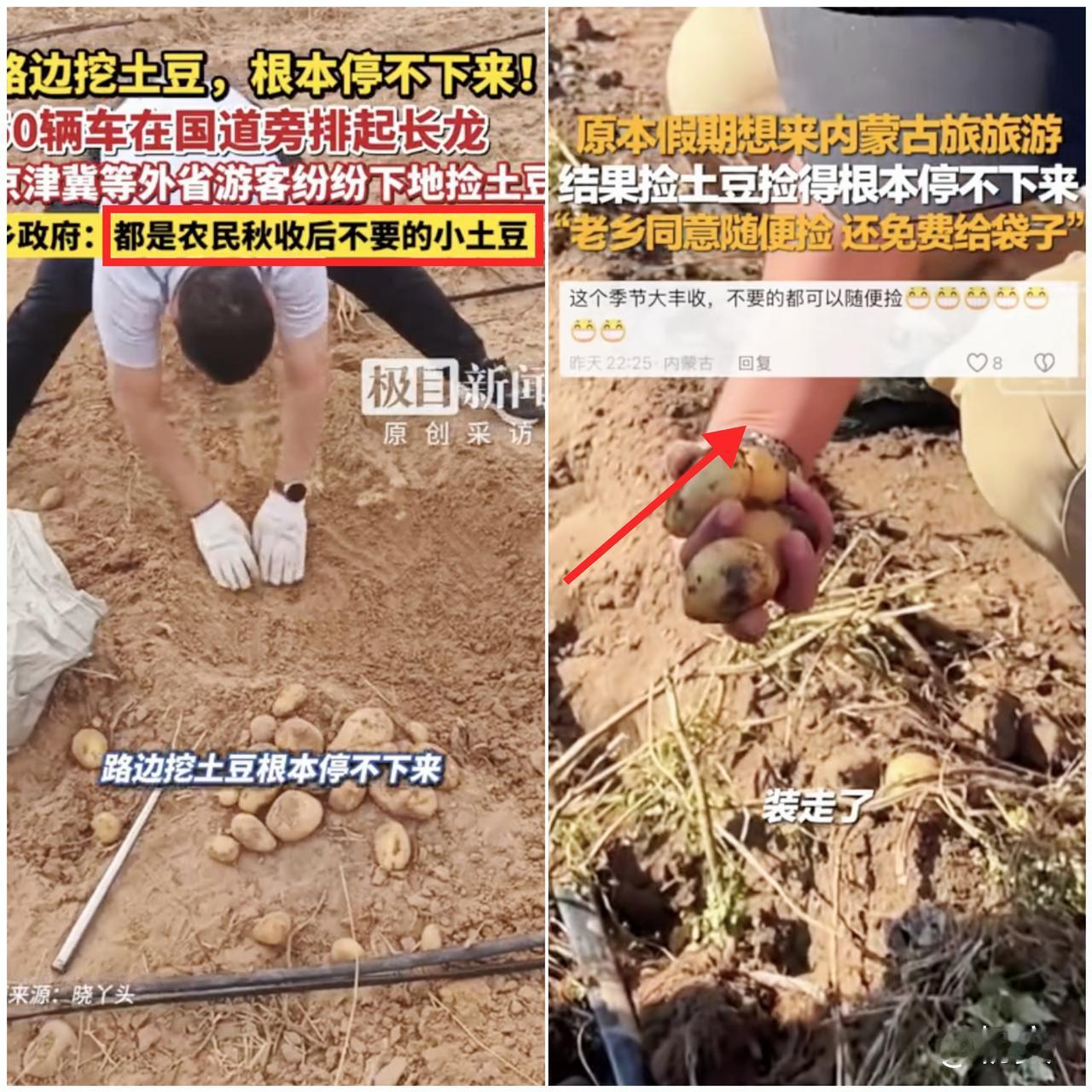 内蒙农户这波操作，直接把“旅行温暖”玩明白了！游客发现地里有土豆想捡，农户