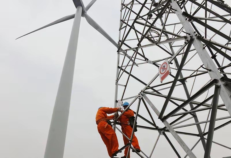 电力板块四大赛道及核心标的按稳健/成长/弹性分层整理，覆盖发电、电网、储能、配套