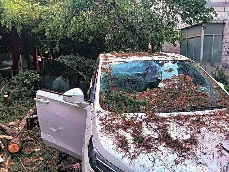 7月14日，山西运城的张师傅一行人驾车前往陕西西安考察项目，入住城内止园饭