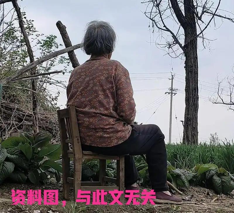 村里李奶奶死了，生前被儿女嫌弃的她估计怎么也没想到：活着讨人厌的她成了香饽饽，都
