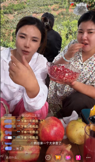 奶茶家族齐聚四川卖石榴引部分网友不解，奶茶解释是让弟弟妹妹积累水果带货经验！