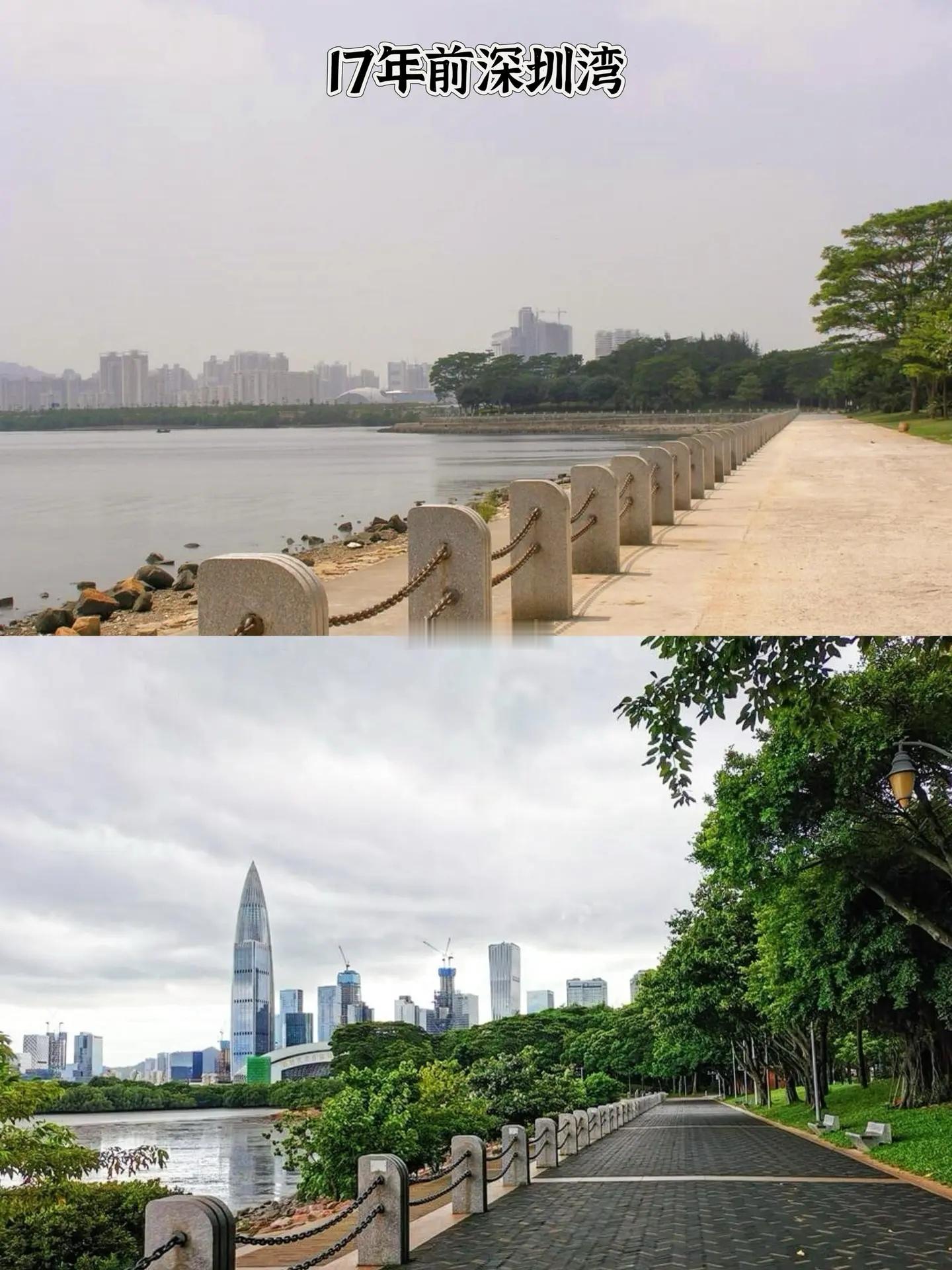 2008年的深圳湾公园，转眼十七年了。。​​​