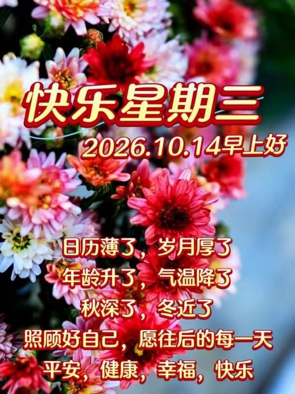 清晨的风带着温柔而来，新的一天如约而至。一句简单早安，藏着最朴素的惦念。不