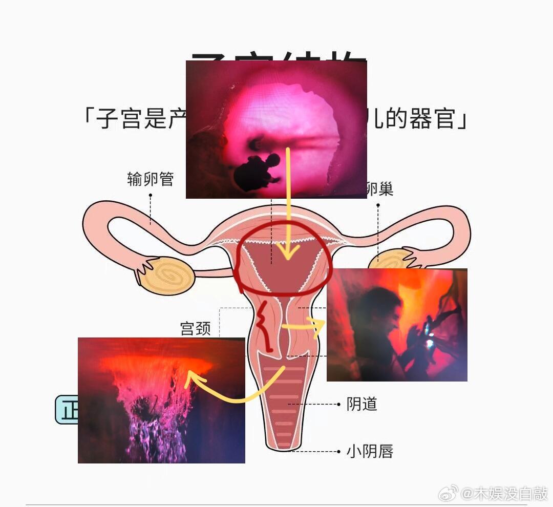 炎拓接生阿罗是从破羊水倒放的生产过程婴儿出生子宫收缩羊膜破裂导致剧痛：炎拓撕阿罗