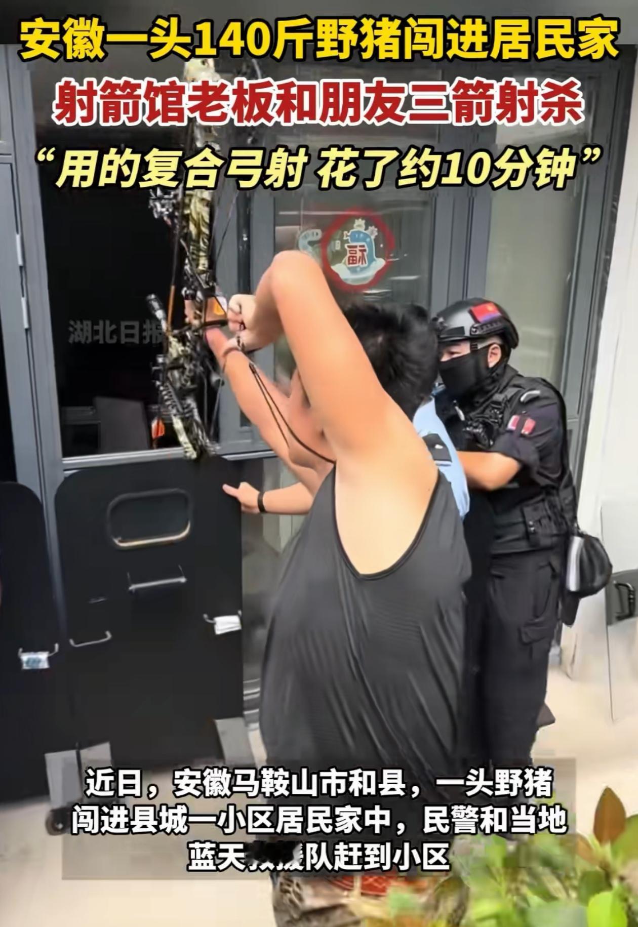 这个家长心不是一般的大！安徽马鞍山，野猪闯进居民家中，家长仓皇逃出，结果却把小孩