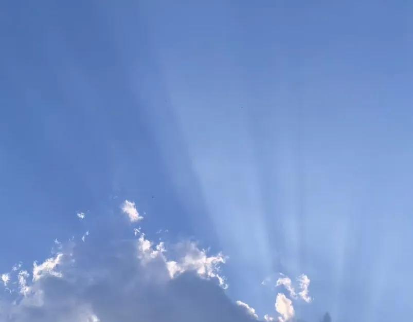 婆婆瘫痪在床，生活不能自理，刚结婚的小敏像对待自己亲妈一样，无微不至地照顾婆婆的