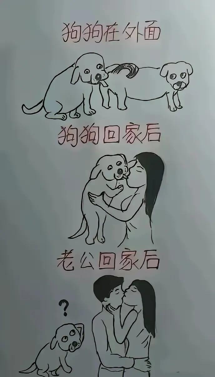 我看到的是细菌传染，您看到了什么？