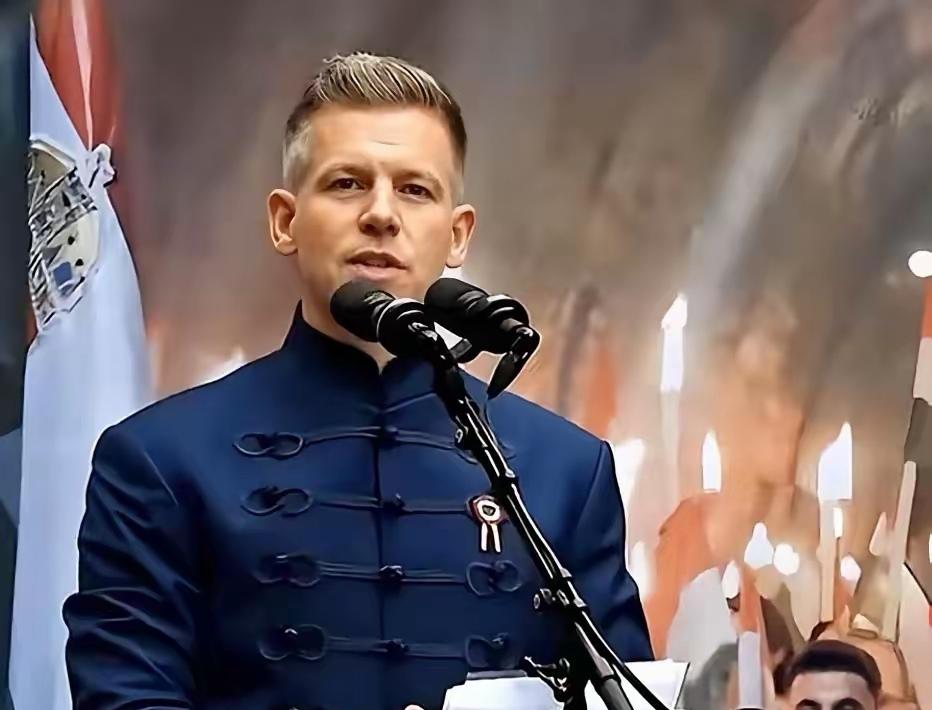 突发新闻：匈牙利新任总理毛焦尔今天（4月16日）拒绝了欧盟的移民协议：“我们不仅