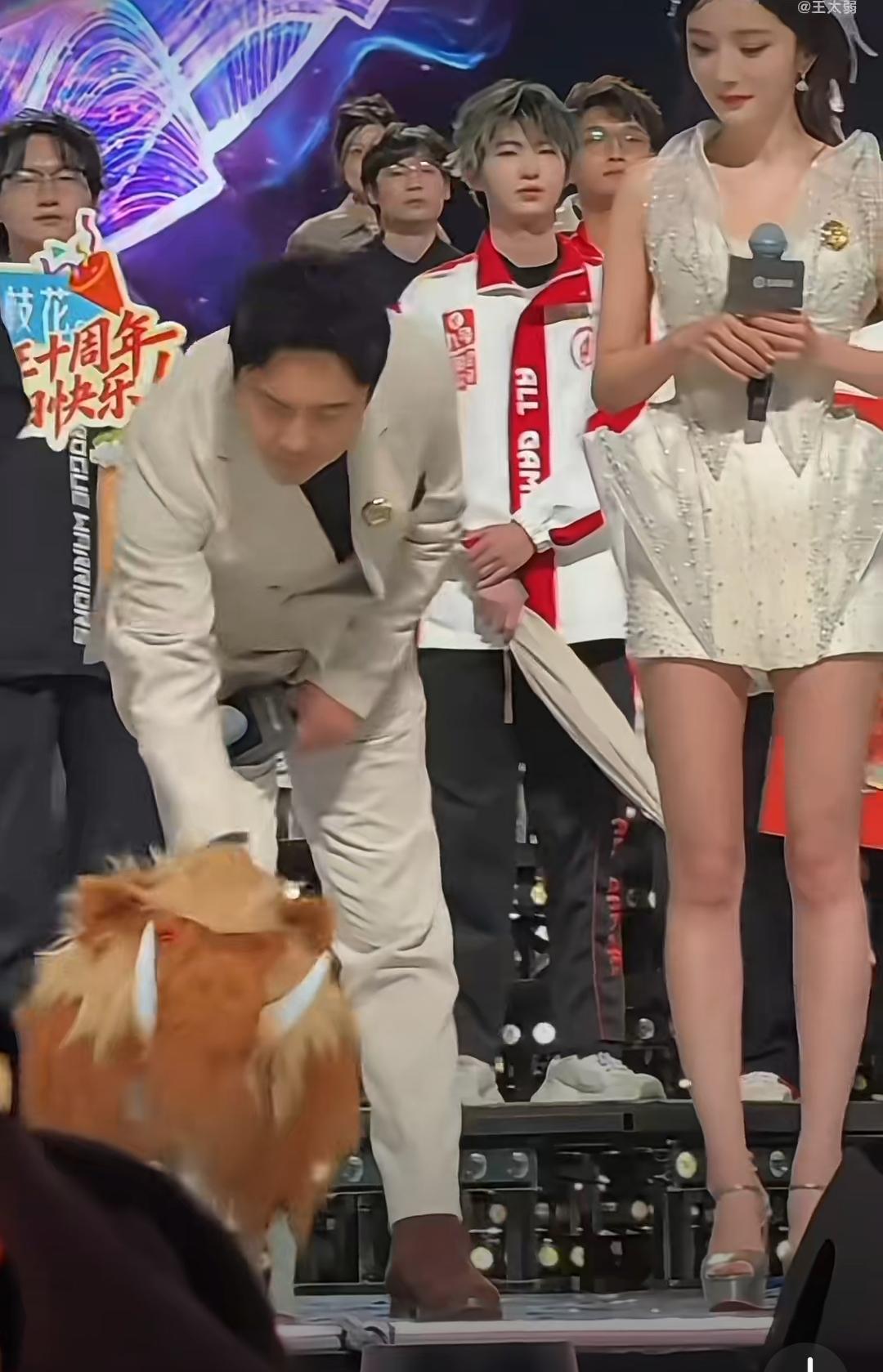 沈腾“招惹”机器狗，杨幂憋笑挑战失败记谁懂啊！沈腾的“捣蛋基因”又藏不住了