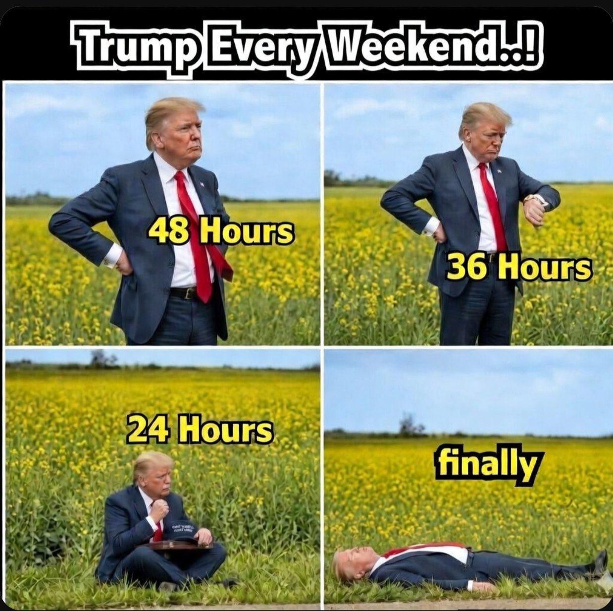 莱维特:不好意思，总统便秘了[doge]