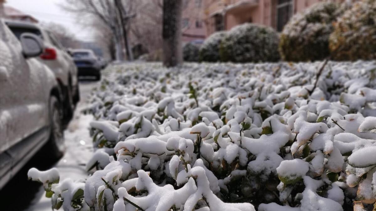 诗评: 韩愈一首春雪诗, 充满调皮, 人生遇见美好心情自然愉悦