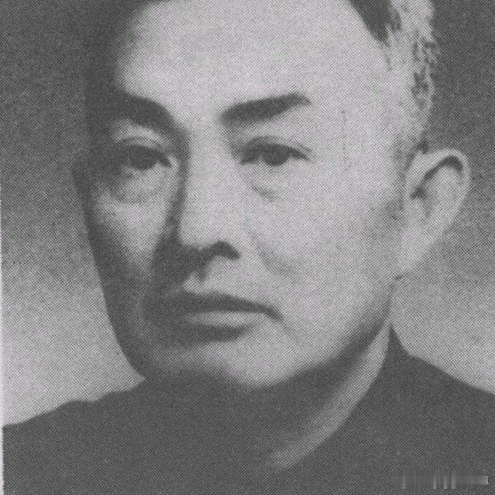 《西路军错失最后生机真相：陈昌浩与徐向前激烈争论内幕，全程还原回到倪家营子的关键