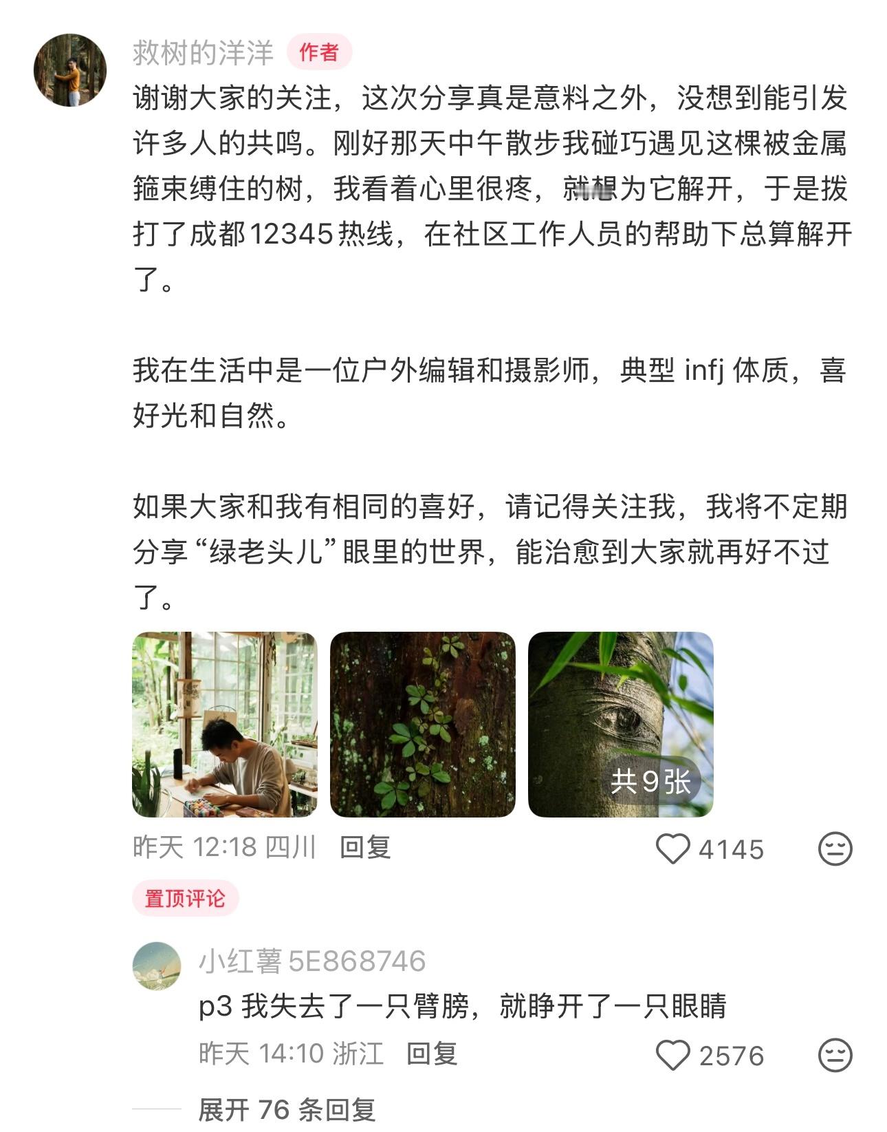 看见一棵树很疼，于是拨打了12345这颗小树在乎😭