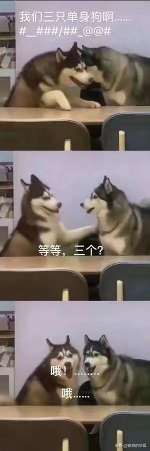 在网上发了一份征婚广告，写的基本资料里有房有车因为IP地址是上海，工作地也在上