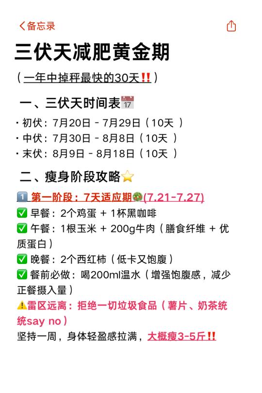 三伏天减脂黄金期🔥轻松甩肉20斤‼️