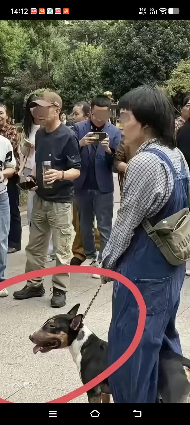 眉山烈性犬只裸奔，狗主人人品确实挺苟的原来大家还以为眉山仁寿中城国际小区恶犬