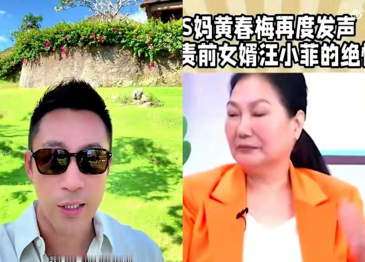 徐妈妈也想对孩子们好，让孩子们在她身边，可是她年纪大了，没有办法。加上失去最优秀