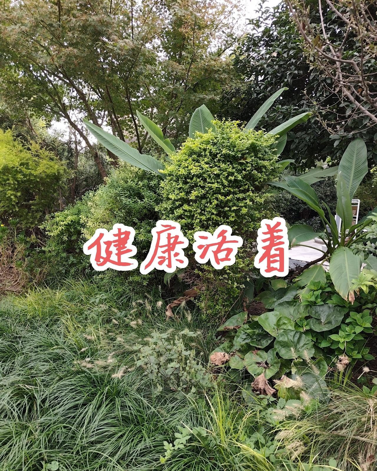 叶檀:持续了10多年的失眠有改善，晚上10点钟居然会打哈欠——这件事让我思索