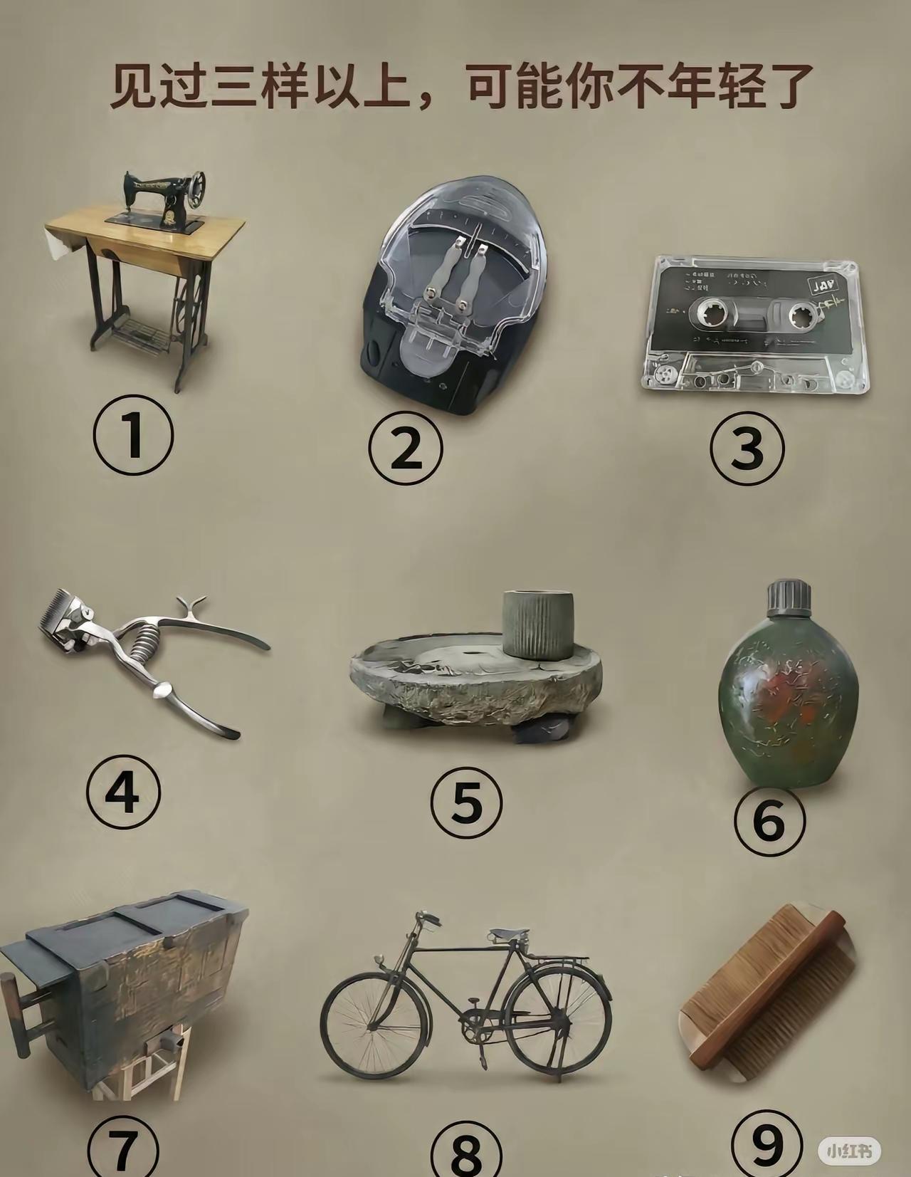 这里面的东西你认识几个[狗头]