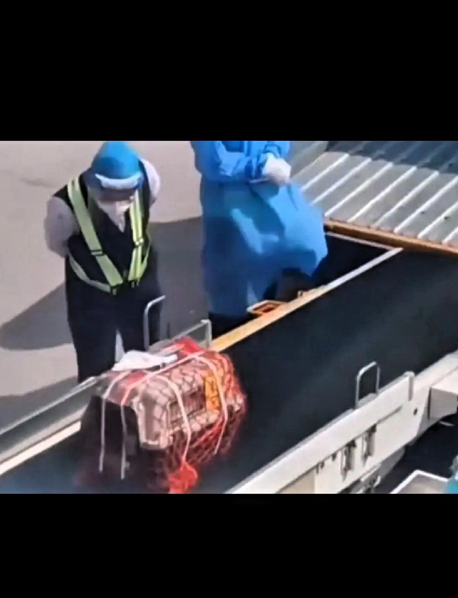 以为是救助！原来是流放！托运站点碰到两只没人认领的猫猫，一查信息，这两只猫猫是