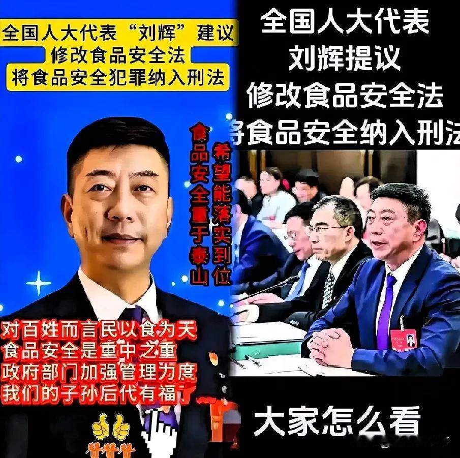 我的预感是对的全国人大代表刘辉关于强化食品安全刑事规制的提案引发广