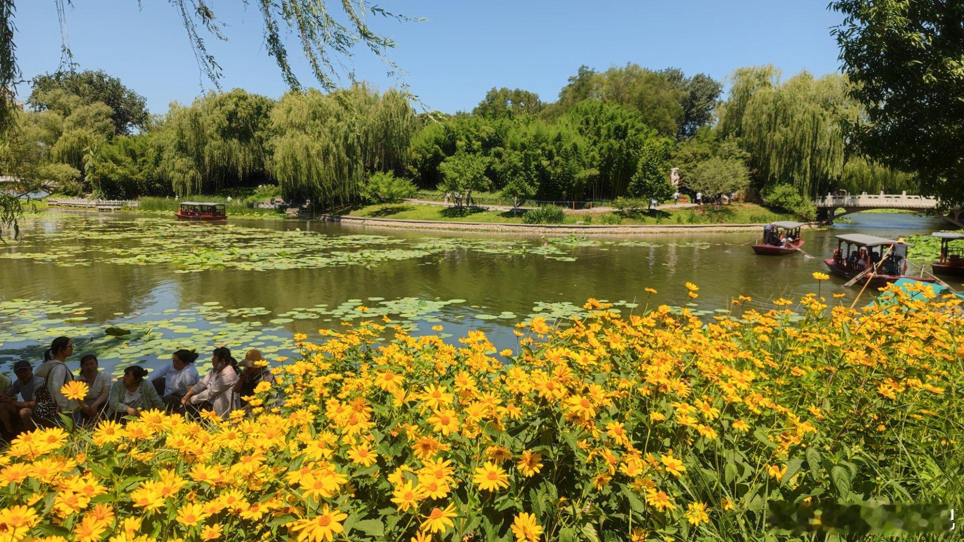 紫竹院公园夏日随手拍  北京夏日颜色​​​摄影​​​