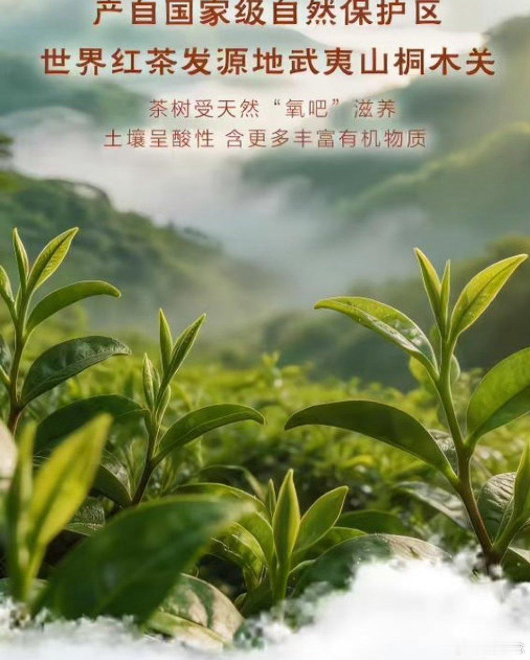 如何幸福地度过一周 手速爆棚拿下茶的传人限量金骏眉，转瞬售罄足以见得火爆。茶汤滋