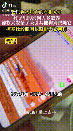 “反转了！”长春7只狗狗集体跑丢的事，在网上火得一塌糊涂，大家都以为它们是被人抓