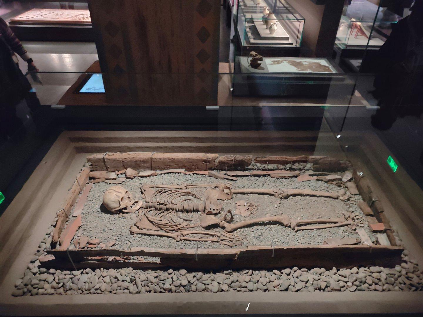 我的2025博物馆之旅古代的龟兹贵族都是扁头？！今年最有意思的冷知识是在库车龟兹